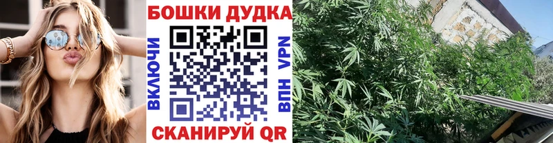 Каннабис OG Kush  где продают   Майкоп 